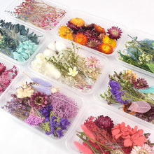 Load image into Gallery viewer, Dry Flowers For Aromatherapy