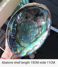 Indlæs billede til gallerivisning Palo Santo Wood Sacred Wood Purifies The Air, Cleans Up Negative Energy, Heals, Helps Sleep Prays and Transports Wild White Sage