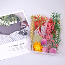 Load image into Gallery viewer, Dry Flowers For Aromatherapy