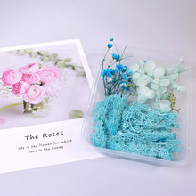 Load image into Gallery viewer, Dry Flowers For Aromatherapy