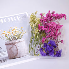 Load image into Gallery viewer, Dry Flowers For Aromatherapy
