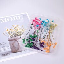 Load image into Gallery viewer, Dry Flowers For Aromatherapy
