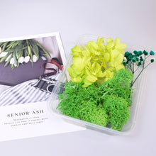 Load image into Gallery viewer, Dry Flowers For Aromatherapy