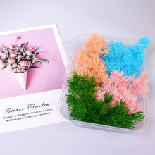 Load image into Gallery viewer, Dry Flowers For Aromatherapy