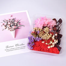 Load image into Gallery viewer, Dry Flowers For Aromatherapy